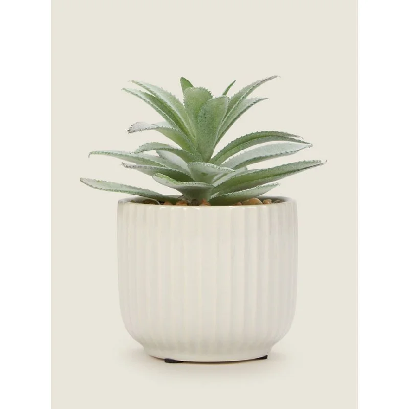 - Natural latex pet mattressGeorge Home Artificial Aloe in Ribbed Pot