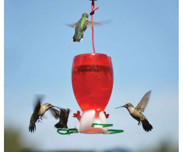 - Summer pet ice matBig Red Hummingbird Feeder